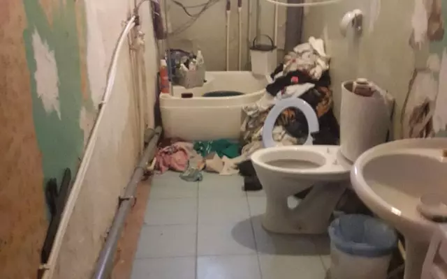 Немного свежего трэша в новостную ленту
